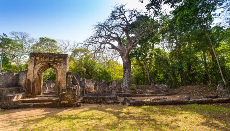 Coral-stone ruins and a baobab tree at Gede