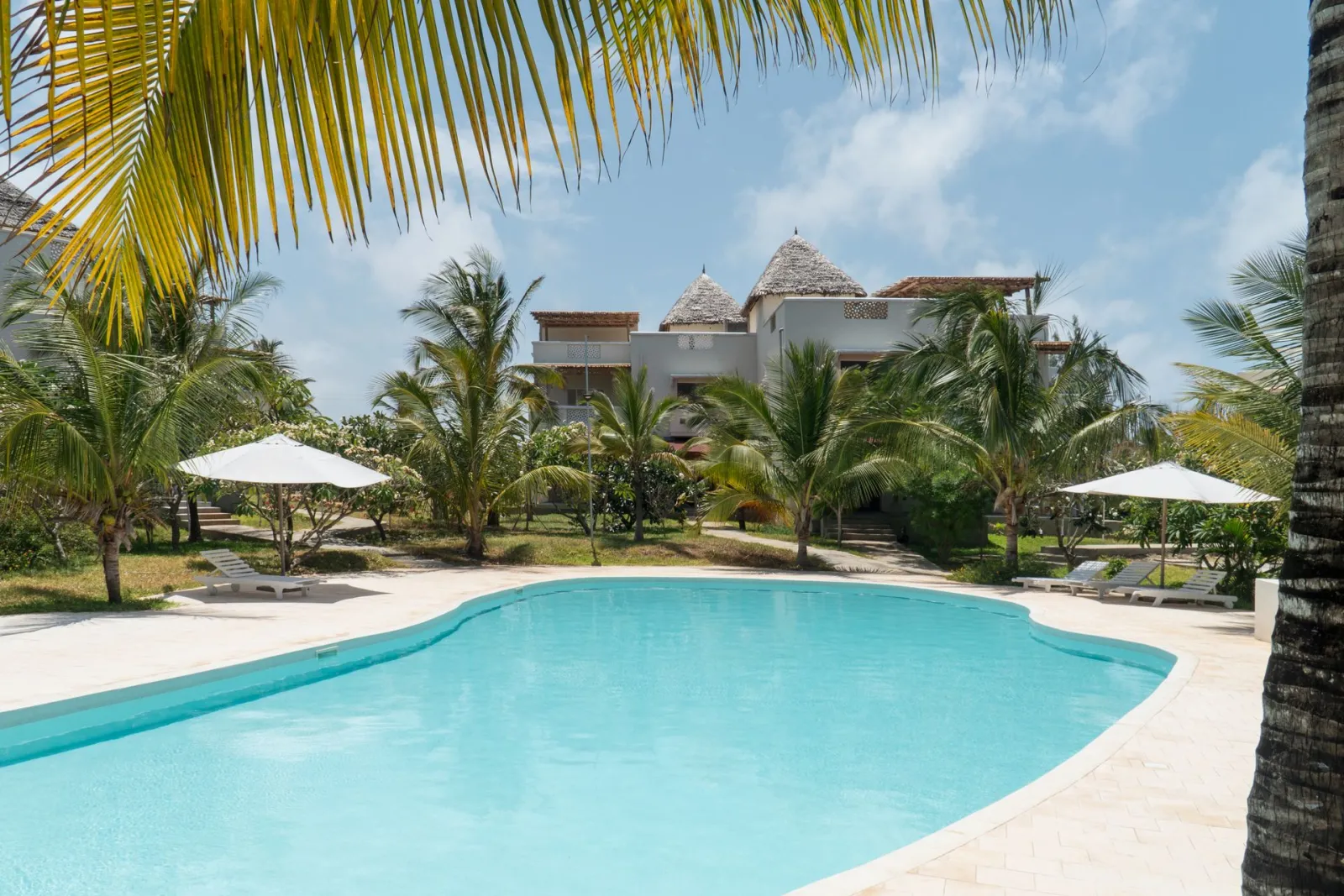 The shared pool among the palms