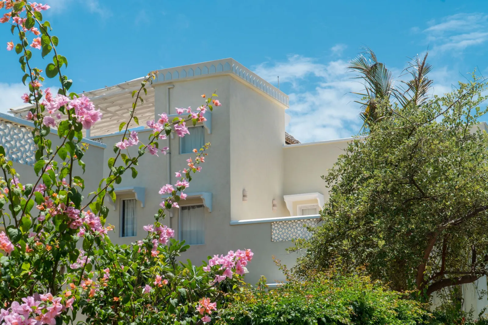 Bougainvillea over a white villa