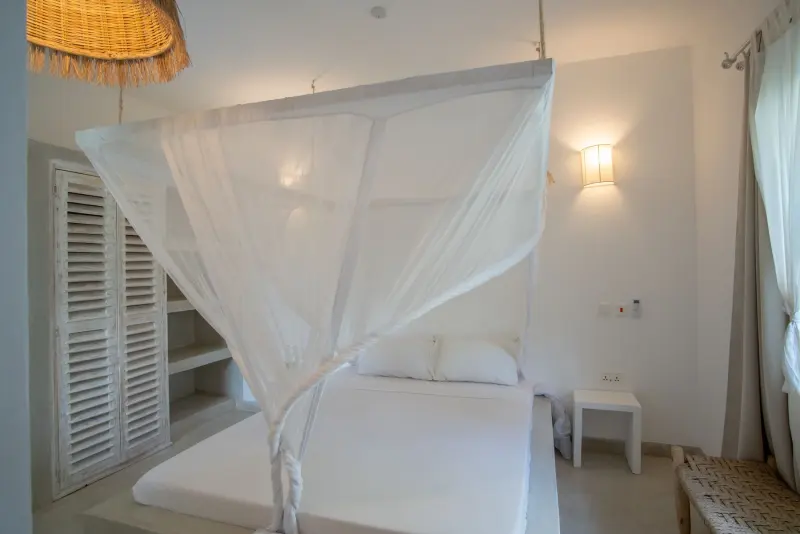 A double bed under a white net