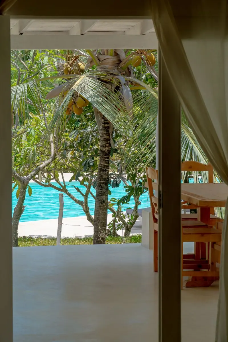 The pool glimpsed through the garden
