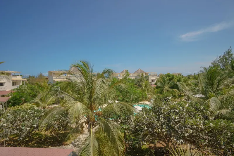 Palm trees and rooftops towards the sea